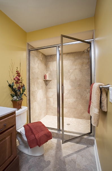 Framed Shower Glass Door 